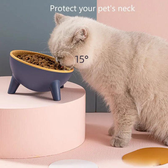 Cat Dog Bowl With Stand Pet Feeding Food Bowls Maroon Asteria