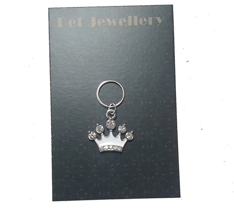 White Crown Small Pet Collar Charm Salmon Oscar