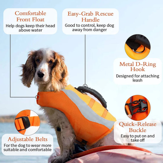 Benepaw Dog Life Jacket Reflective Pet Life Vest For Boating Swimming Leash Ring Small Medium Puppy Lifesaver Floating Swimsuit