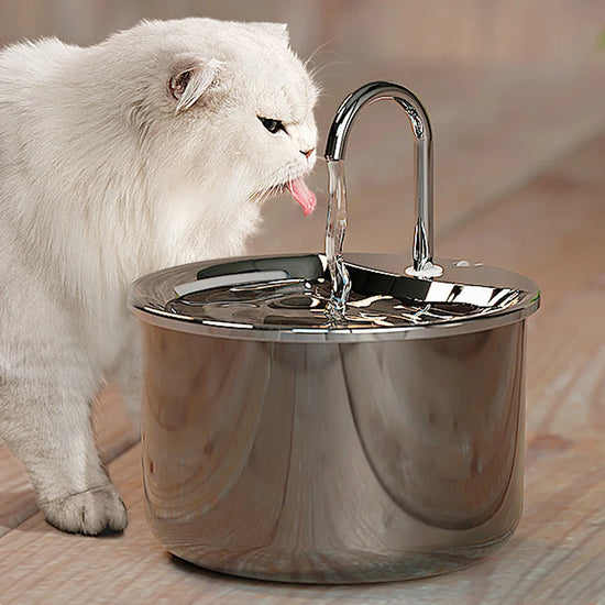 2L Stainless Steel Pet Water Fountain with USB Cat Ultra Quiet Water Dispenser Pets Filter Fountain Smart Drinking Feeder Bowl