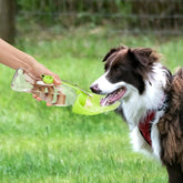 Portable Pet Water Dispenser Feeder Leak Proof Maroon Asteria
