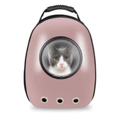 Pet Hardshell Traveling Backpack Yellow Pandora