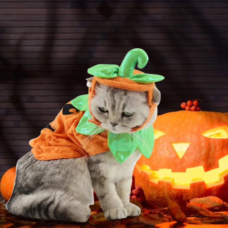 Halloween Pet Cats Costume Props Creative Pumpkin Maroon Asteria