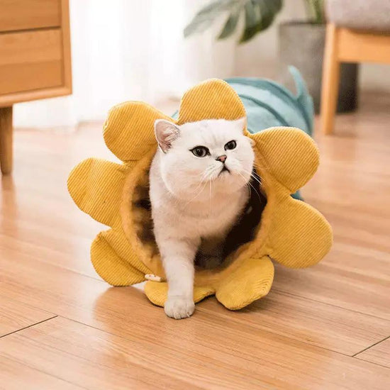 Creative Fruit Funny Pet Cat Tunnel Toys Maroon Asteria