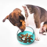 Space Capsule Dog Bowl Slow Food Bowl Tumbler Cat Bowl Maroon Asteria
