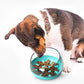 Space Capsule Dog Bowl Slow Food Bowl Tumbler Cat Bowl Maroon Asteria