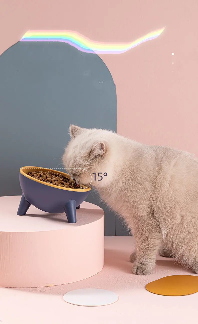 Cat Dog Bowl With Stand Pet Feeding Food Bowls Maroon Asteria