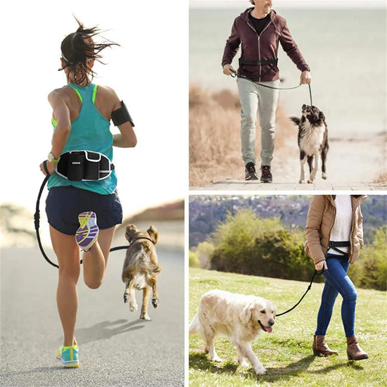 Dog Training Leash Waist Bag Hands-Free Outdoor Pet Running Maroon Asteria