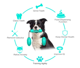 Dog Chew Toys Pet Toothbrush Rubber Bones Teeth Cleaning Maroon Asteria