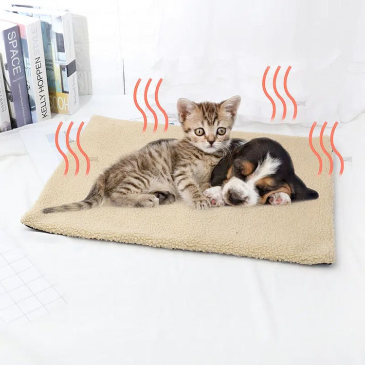 Pet Beds & Furniture