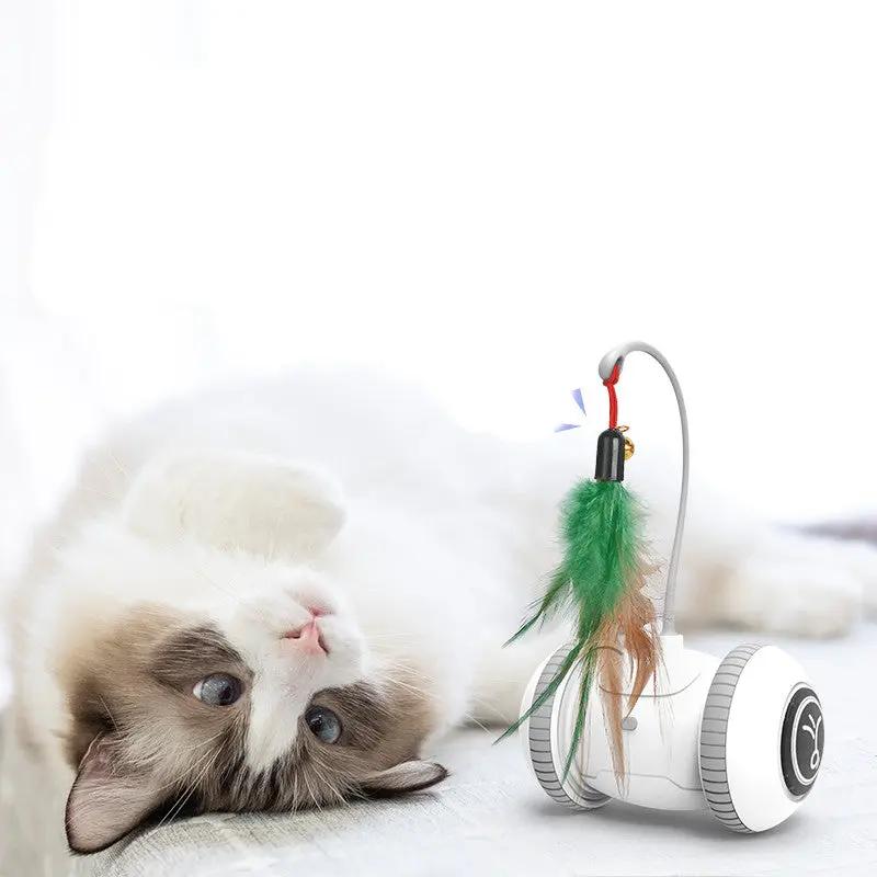 Interactive Cat Toy With Interchangeable Pet Feather Toys Maroon Asteria