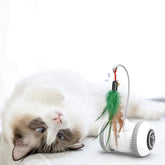 Interactive Cat Toy With Interchangeable Pet Feather Toys Maroon Asteria