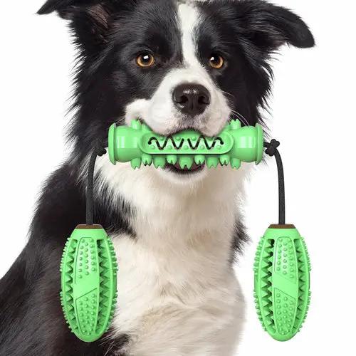 Dog Chew Toys Pet Toothbrush Rubber Bones Teeth Cleaning Maroon Asteria