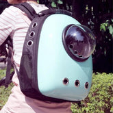 Pet Hardshell Traveling Backpack Yellow Pandora