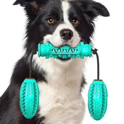 Dog Chew Toys Pet Toothbrush Rubber Bones Teeth Cleaning Maroon Asteria