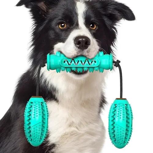 Dog Chew Toys Pet Toothbrush Rubber Bones Teeth Cleaning Maroon Asteria