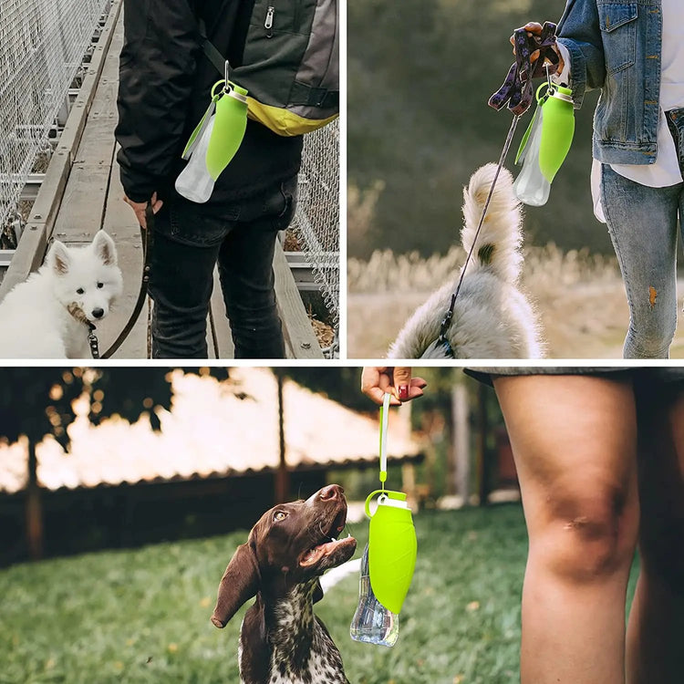 Portable Pet Water Dispenser Feeder Leak Proof Maroon Asteria