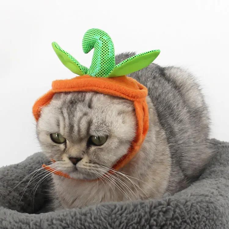 Halloween Pet Cats Costume Props Creative Pumpkin Maroon Asteria
