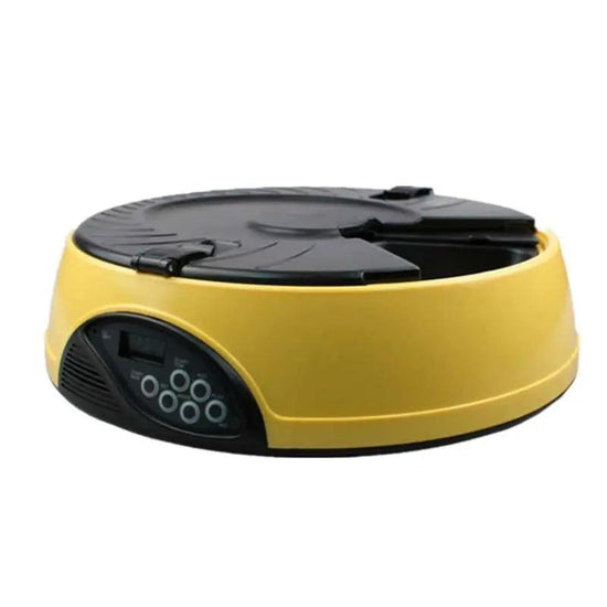 High Quality Pet Automatic Feeding Machine Maroon Asteria