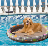 Dog Swimming Pool Inflatable Hammock Pets Pool Maroon Asteria