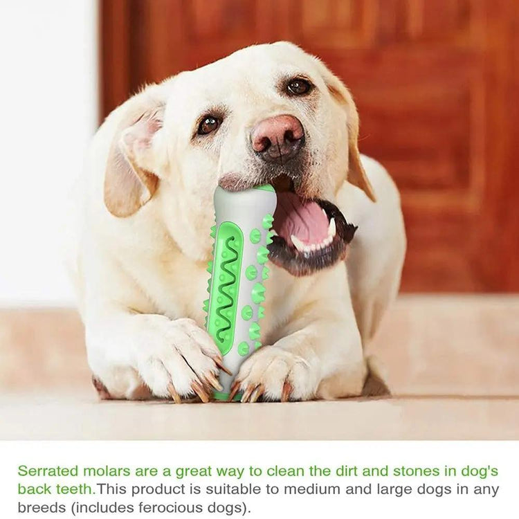 Pet Dog Bone Shape Molar Teeth Cleaner Brushing Stick Interactive Chew Maroon Asteria