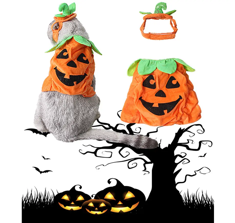 Halloween Pet Cats Costume Props Creative Pumpkin Maroon Asteria