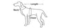 Benepaw Dog Life Jacket Reflective Pet Life Vest For Boating Swimming Leash Ring Small Medium Puppy Lifesaver Floating Swimsuit