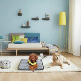 Thermal Heating Waterproof Bed Pad for Pets with Adjustable Yellow Pandora