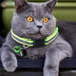 Mini-Tracker for Cats Puppies for Android ISO System for Bird and Dog Cat View Three Days of Movement GPS Trackers