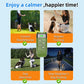 Dual Ultrasonic Pet Dog Repeller Professional Dog Training Device Rechargeable Anti Dog Bark Deterrent with LED Flashlight