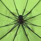 Pet umbrella! Personalized fluorescent green! Fully automatic folding square umbrella for dog walking