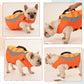Benepaw Dog Life Jacket Reflective Pet Life Vest For Boating Swimming Leash Ring Small Medium Puppy Lifesaver Floating Swimsuit