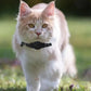 Waterproof Reflective GPS Tracker Collar for Cats Anti-Lost Pet Location Finder Accessories for Kittens