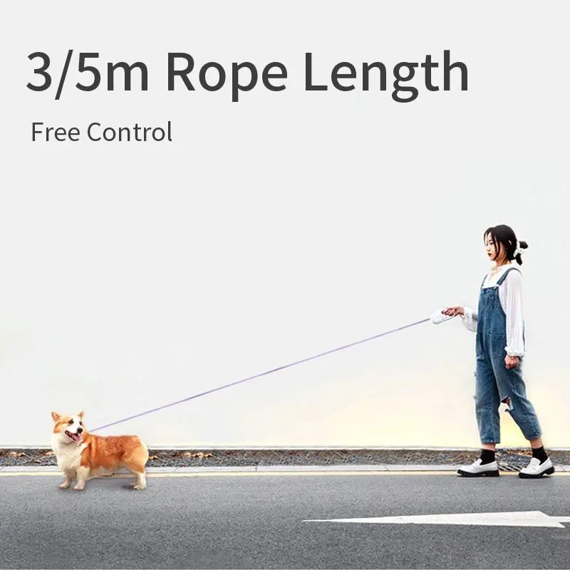 Automatic Retractable Lighting Dog Leash Yellow Pandora