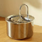 2L Stainless Steel Pet Water Fountain with USB Cat Ultra Quiet Water Dispenser Pets Filter Fountain Smart Drinking Feeder Bowl