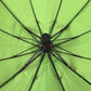 Pet umbrella! Personalized fluorescent green! Fully automatic folding square umbrella for dog walking