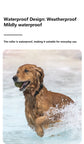 Waterproof Pet GPS Tracker - Dog & Cat Locator, with Adjustable Collar Anti Lost Dogs Real-time Tracking Device for iOS