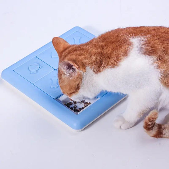 Pet Slow Food Bowl Treasure Hunt Training Toys Maroon Asteria