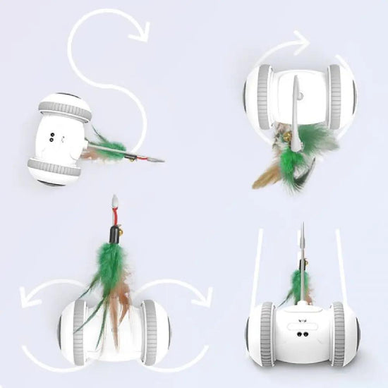 Interactive Cat Toy With Interchangeable Pet Feather Toys Maroon Asteria