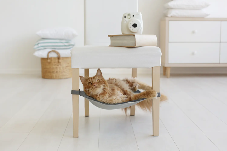 ROCKY COAST Saveplace® grey hammock for pets & storage Grey Chaos