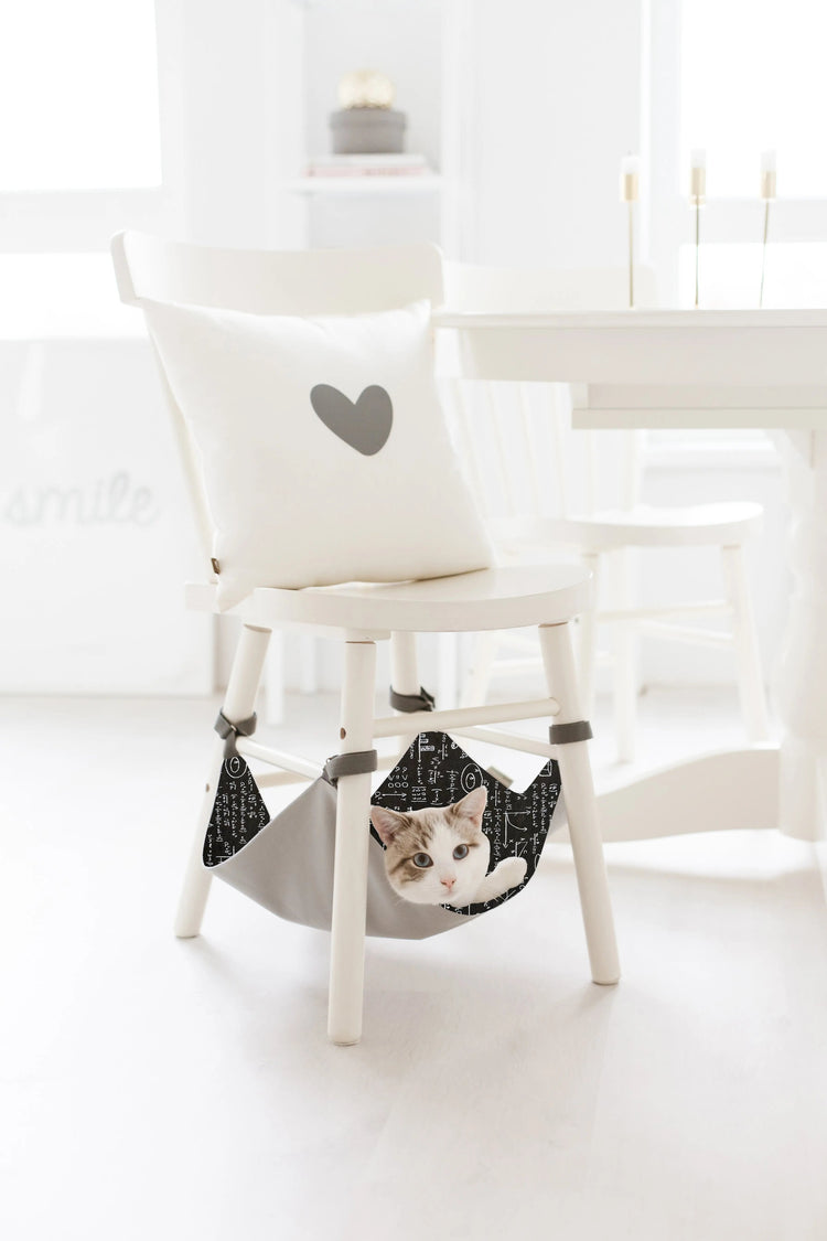 Aurum 5 Pet Starter Must-Haves