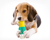 Summer Cooling Cleaning Care Teeth Pet Chewing Supplies Maroon Asteria