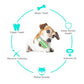Pet Dog Bone Shape Molar Teeth Cleaner Brushing Stick Interactive Chew Maroon Asteria