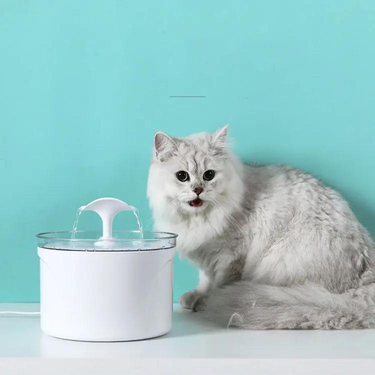 Pet Dog Cat Water Fountain Electric Automatic Water Feeder Maroon Asteria